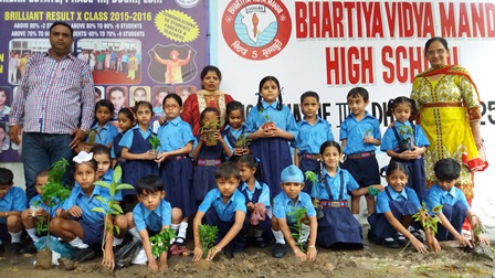 VAN MAHOTSAV CELEBRATION