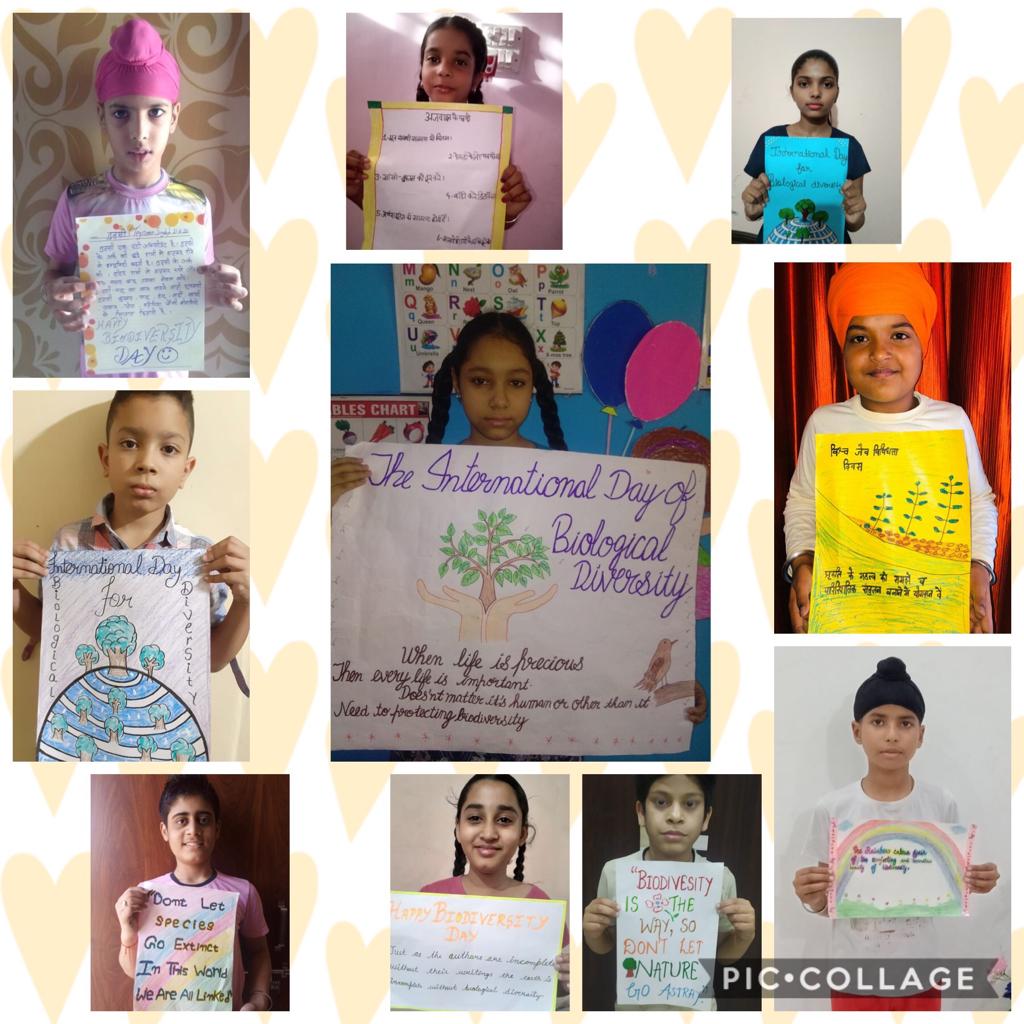 INTERNATIONAL BIODIVERSITY DAY